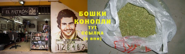 трава Бородино
