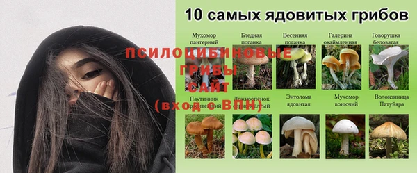 альфа пвп Бугульма
