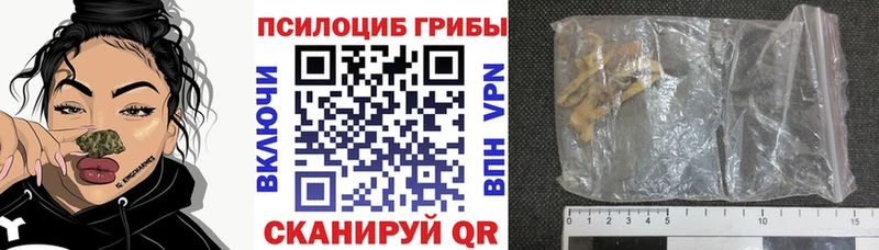 закладка  Новый Оскол  Псилоцибиновые грибы Psilocybine cubensis 