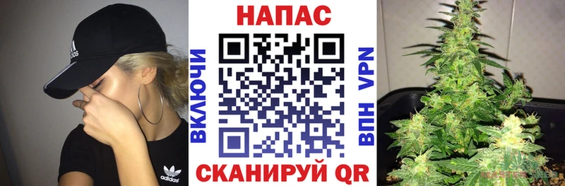 Бошки Шишки план  Новый Оскол 